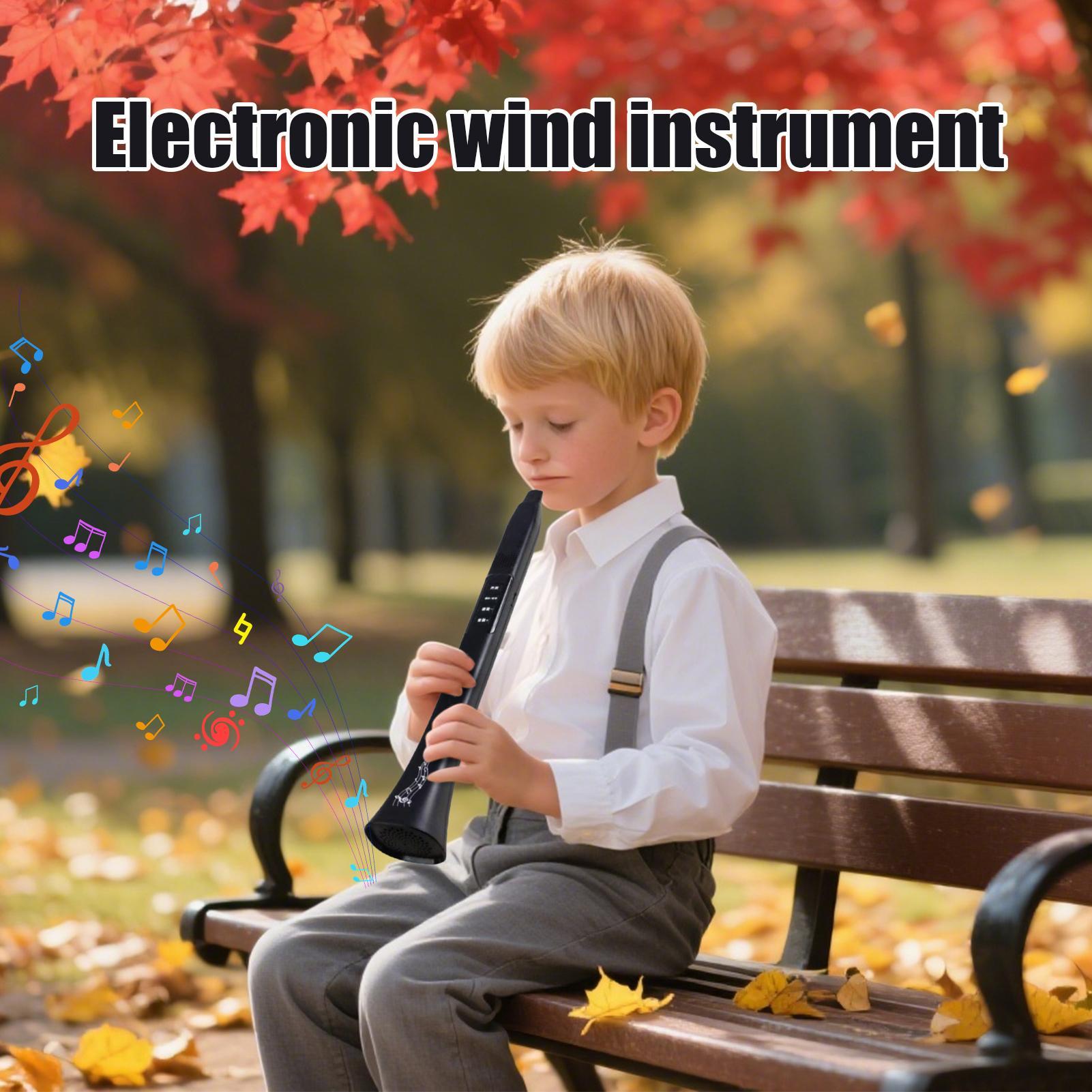 Electronic Digital Wind Instru - Musical Instrument Synthesizer ulasan dan harga