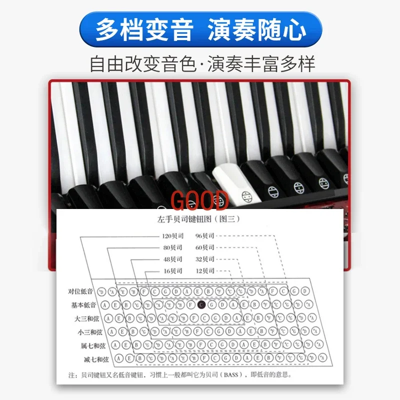 Parrot Brand Bayan Accordion M - Musical Instrument Brands ulasan dan harga