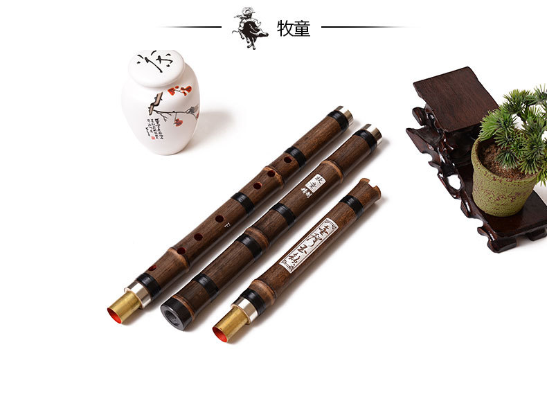 Chinese Bamboo Flute Xiao Vert - Musical Instrument Xiao ulasan dan harga