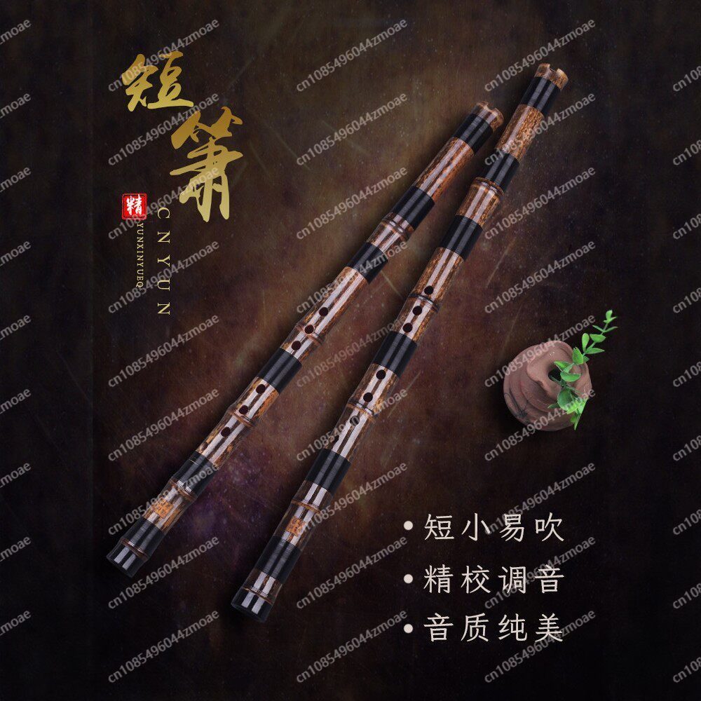 Professional play hole flute o - Musical Instrument Xiao ulasan dan harga