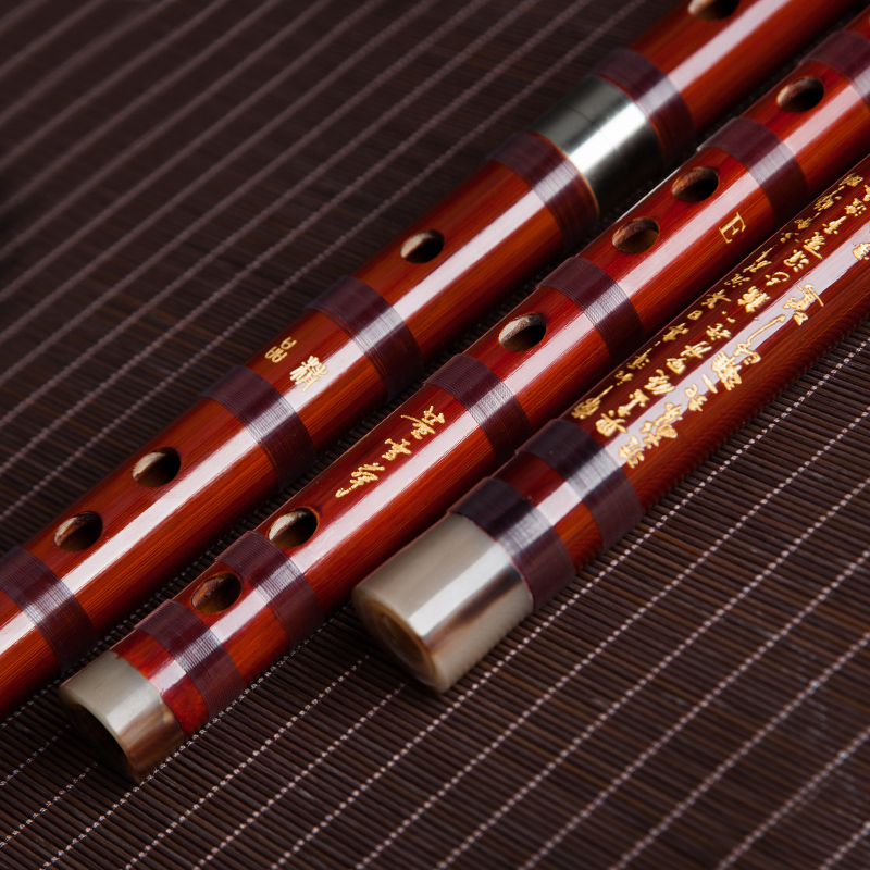 Dong Xuehua 8885 Bamboo Flute  - Musical Instrument Sign ulasan dan harga