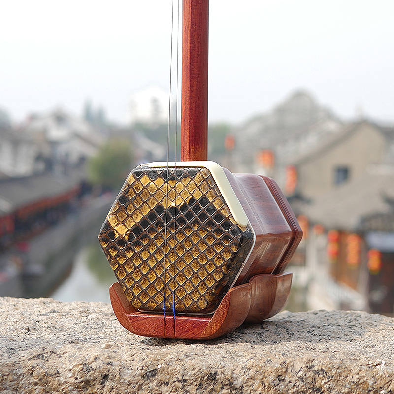 Professional Dunhuang Brand 06 - Musical Instrument Brands ulasan dan harga