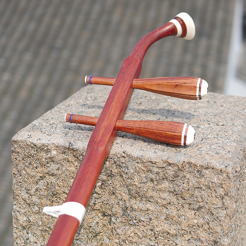 Professional Dunhuang Brand 06 - Musical Instrument Brands ulasan dan harga