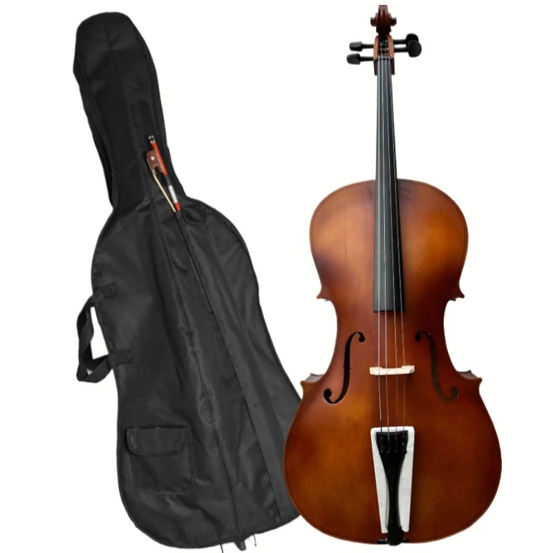 4/4 Matte Natural Color BASSWO - Musical Instrument In Orchestra ulasan dan harga