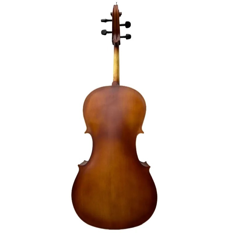 4/4 Matte Natural Color BASSWO - Musical Instrument In Orchestra ulasan dan harga