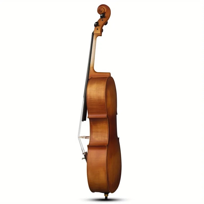 4/4 Matte Natural Color BASSWO - Musical Instrument In Orchestra ulasan dan harga