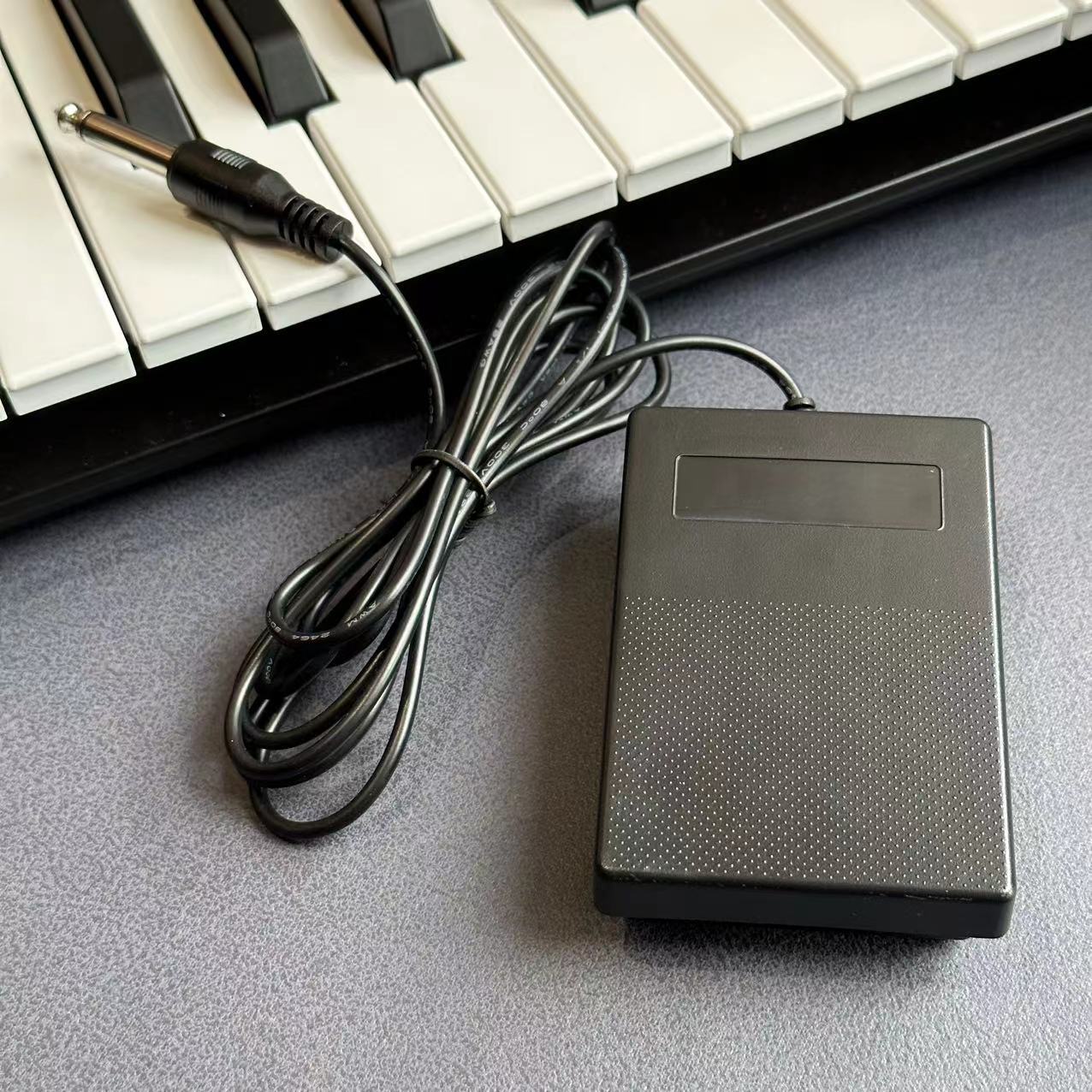 Compact Sustain Pedal for Keyb - Musical Instrument Synthesizer ulasan dan harga