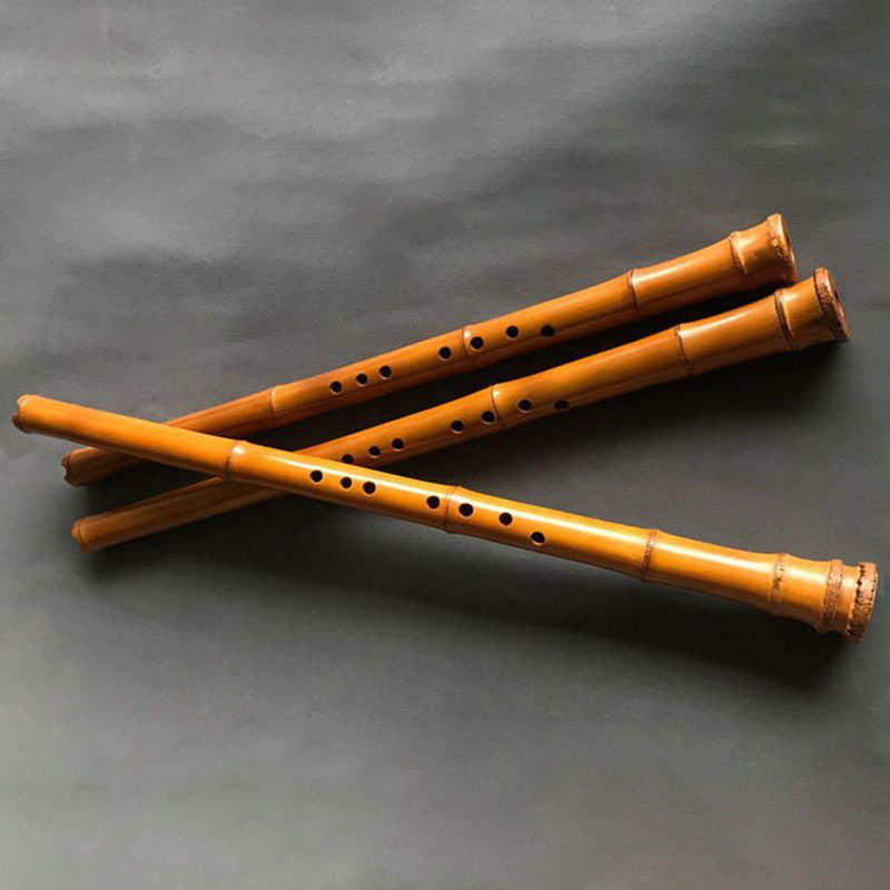 8 Hole Bamboo Xiao Performance - Musical Instrument Xiao ulasan dan harga