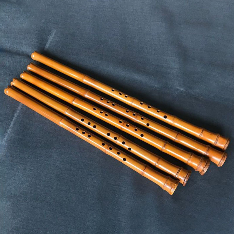 8 Hole Bamboo Xiao Performance - Musical Instrument Xiao ulasan dan harga