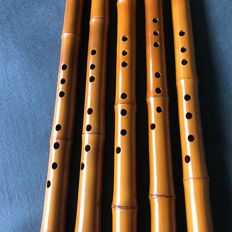 8 Hole Bamboo Xiao Performance - Musical Instrument Xiao ulasan dan harga